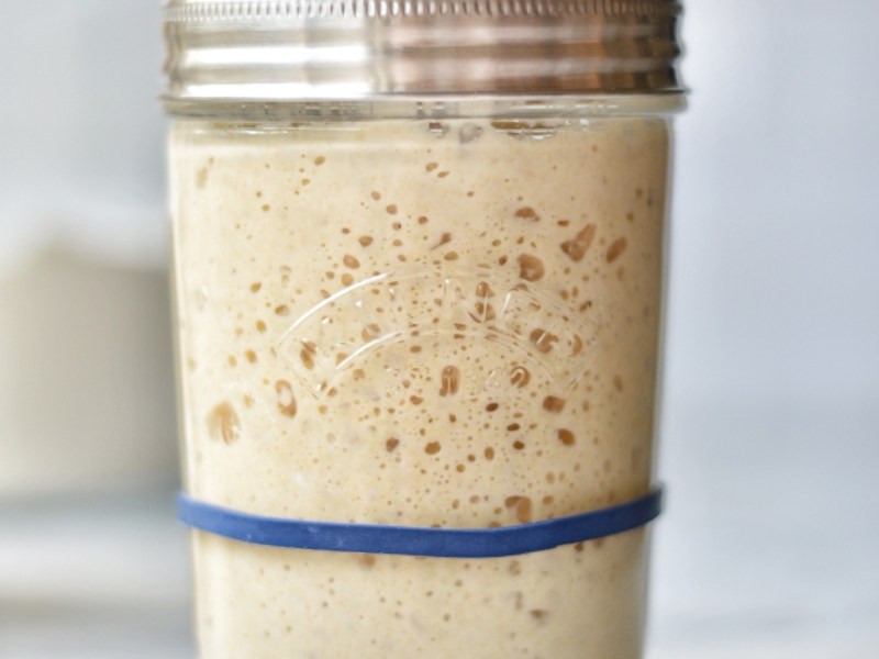 Como logre hacer mi masa&nbsp;madre