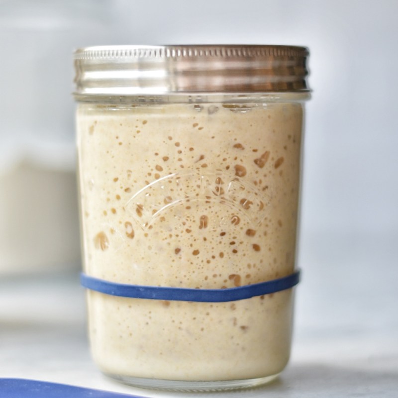 Como logre hacer mi masa&nbsp;madre