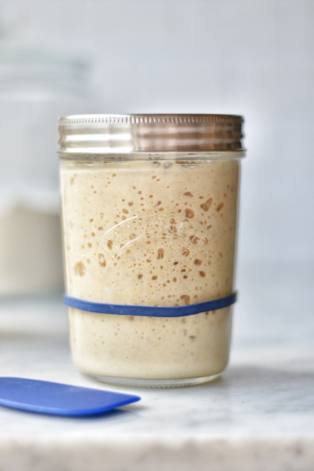 Como logre hacer mi masa&nbsp;madre